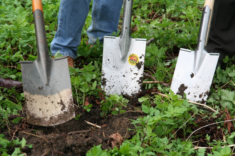 pepiniere-STE AGNES-min_work-lawn-flower-tool-green-backyard-1103633-pxhere.com